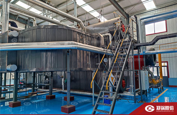 降耗“实招”！！！豪门国际燃气锅炉助力化工企业能效提升