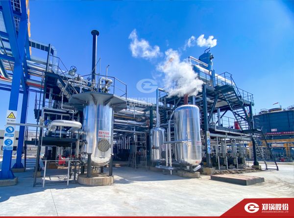 豪门国际携手负极质料“一哥”打造SZS型低氮燃气锅炉树模项目