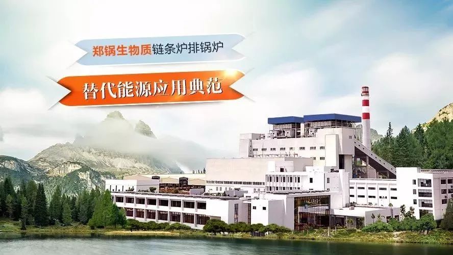 豪门国际领衔体例行业手艺标准，，首次统一生物质链条炉排锅炉手艺条件！！