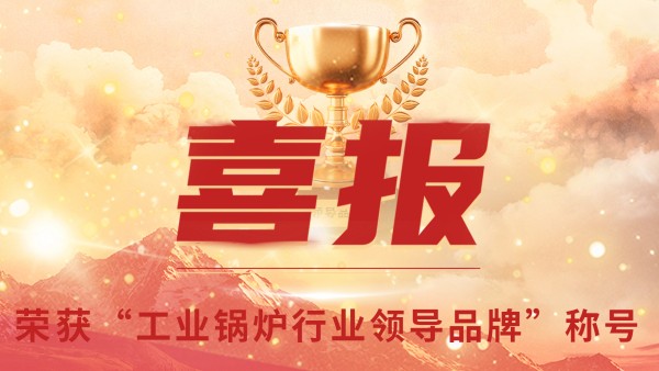 “工业锅炉”的三十年，，，郑州锅炉的七十八年