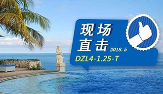 现场直击丨看生物质锅炉在巴厘岛怎样强操作，，转头客非它不选