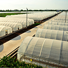 豪门国际·(中国集团)官方网站