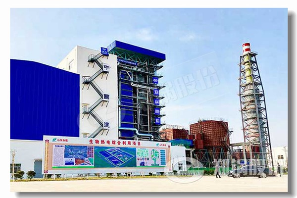 自然气网背蒸汽锅炉