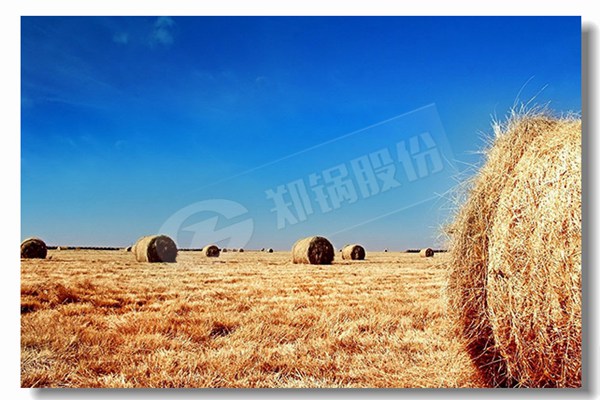 厂家信誉好的热水锅炉品牌找哪家？？？