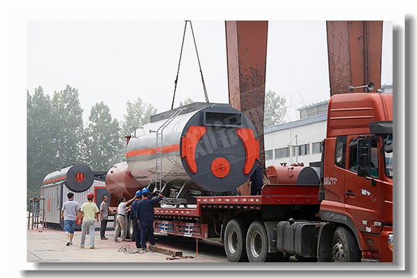 生物质蒸汽锅炉内部结构图是什么样的？？？