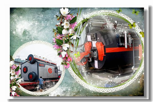 低氮全冷凝锅炉的事情原理是什么？？