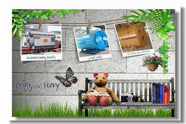 广东燃气蒸汽锅炉几多钱？