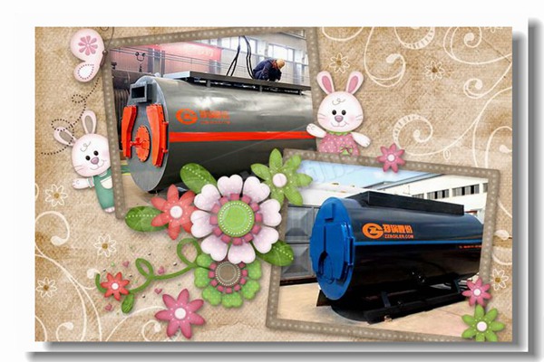 用于烘干室的蒸汽锅炉应该怎么选型？？