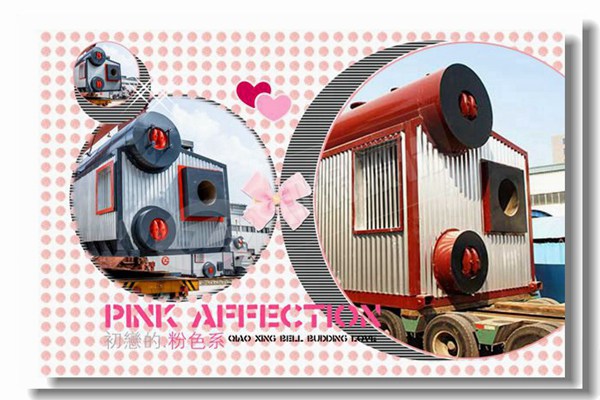 燃煤蒸汽锅炉停炉有哪些注重事项？？？