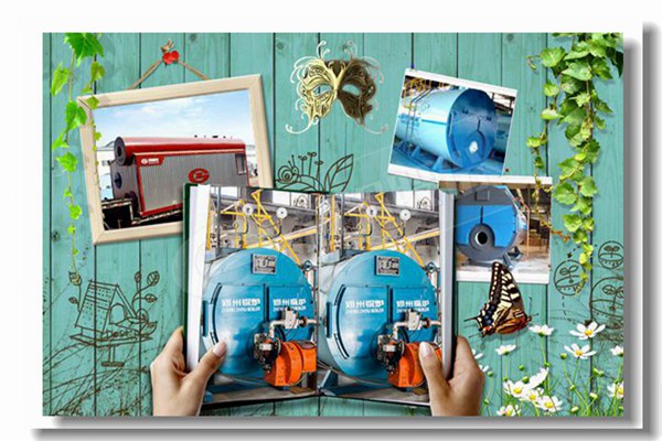 双燃料蒸汽锅炉，，压力16kg